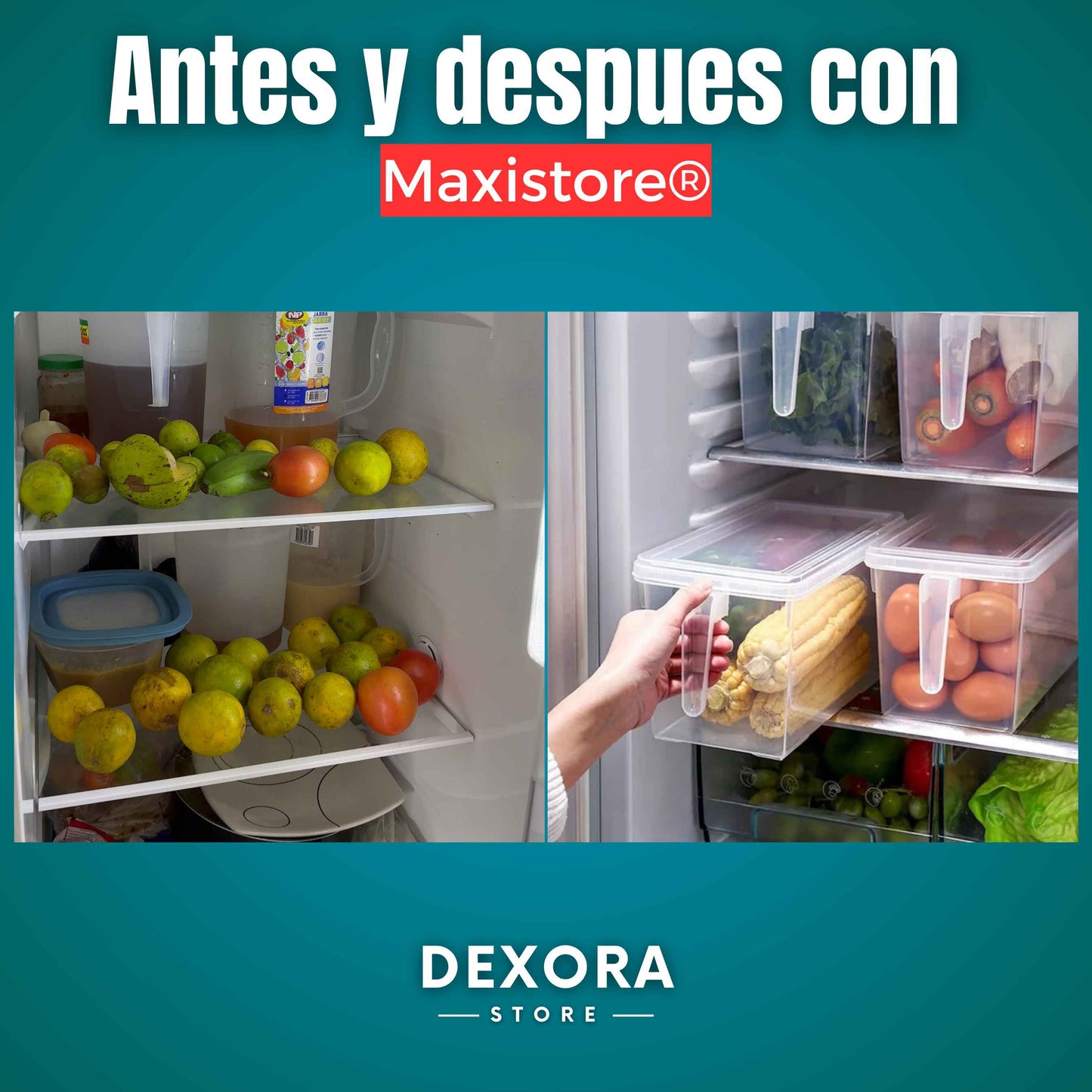 MaxiStore® | Organizador Trasparente